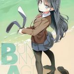 Bunny A Girl! (C95) 溝口ケージ 青春猪头少年不会梦到兔女郎学姐 同人画集本下载